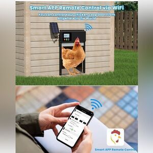 Automatic Chicken Coop Door with LCD Display